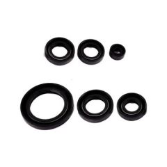 KEÇE SETİ CUB 100 TT