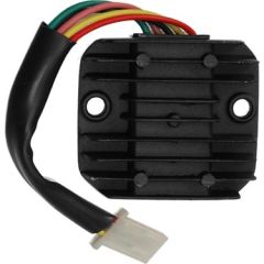 KONJEKTÖR CG DİŞİ TVR