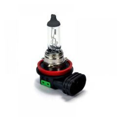 AMPUL HALOGEN H11